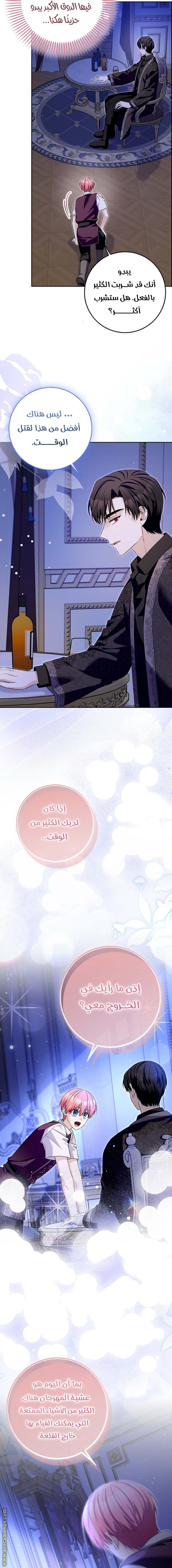 الصفحة 17