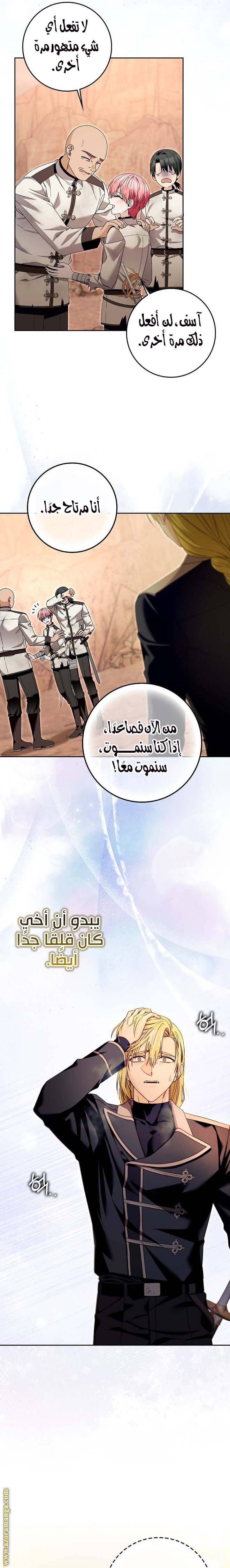 الصفحة 13