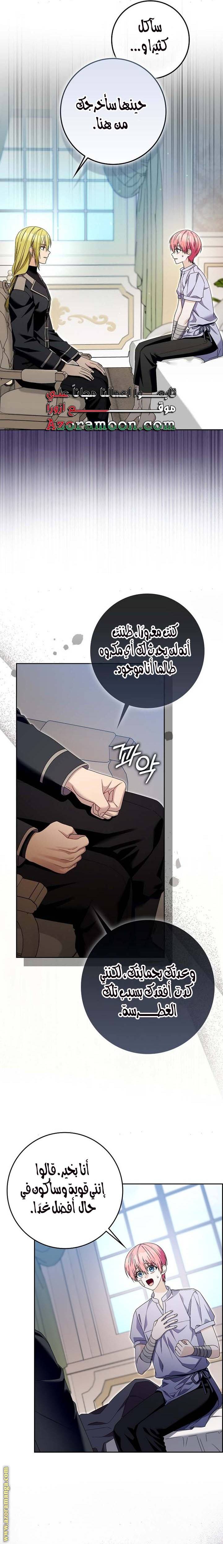 الصفحة 17
