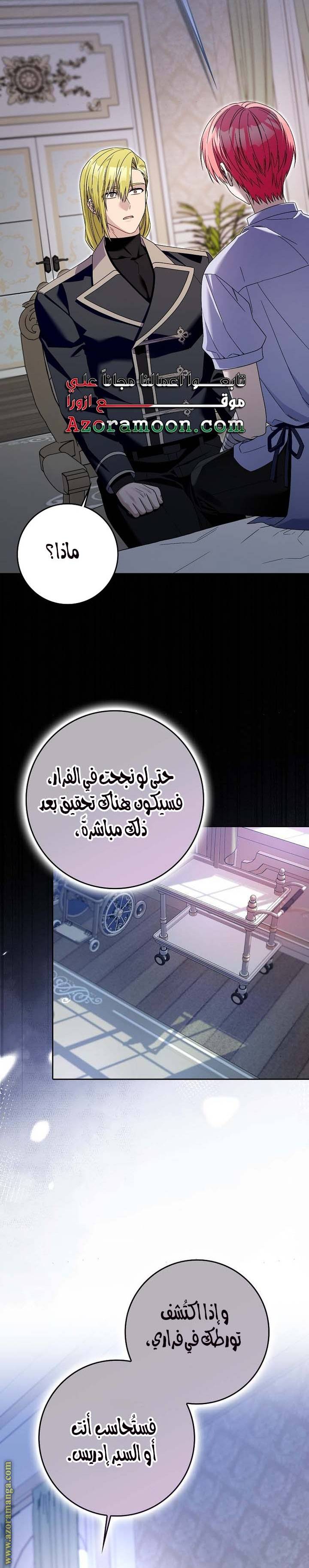 الصفحة 19