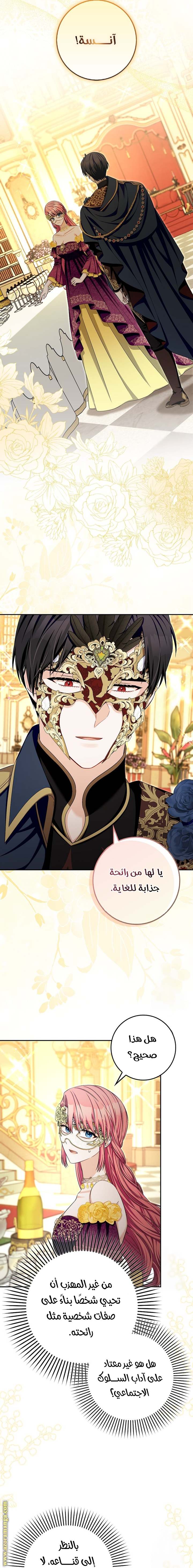 الصفحة 17