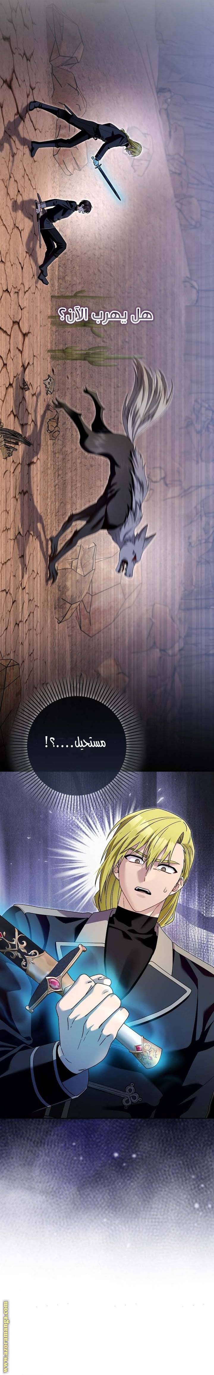 الصفحة 20