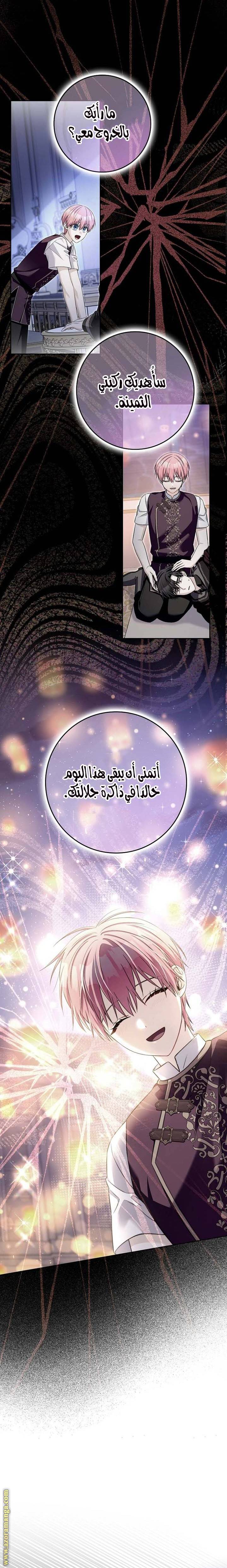 الصفحة 26