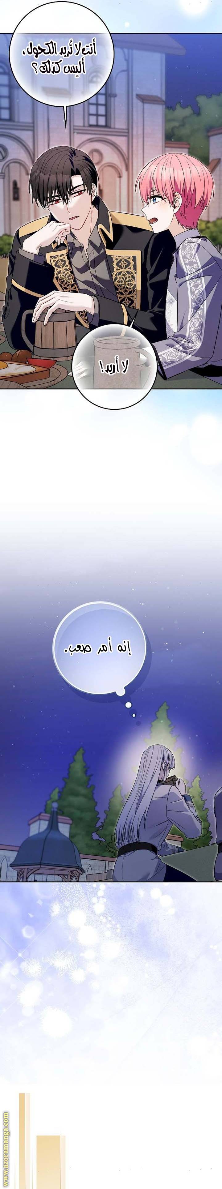 الصفحة 17