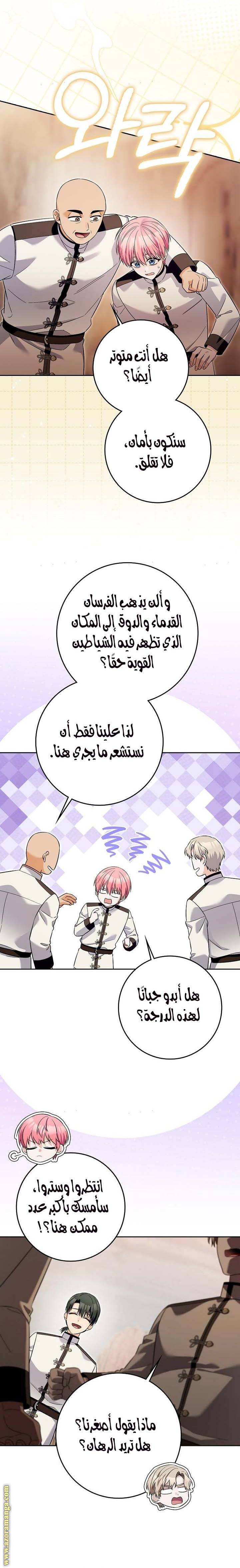 الصفحة 25