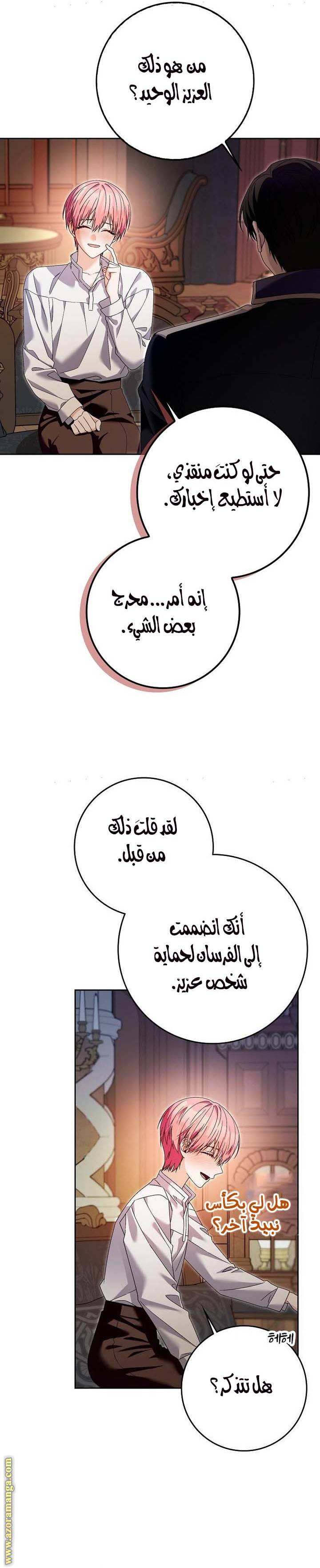 الصفحة 22