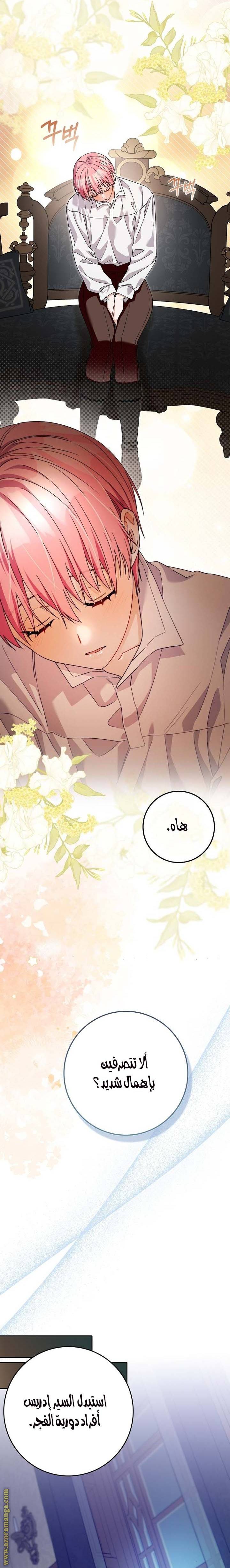 الصفحة 24