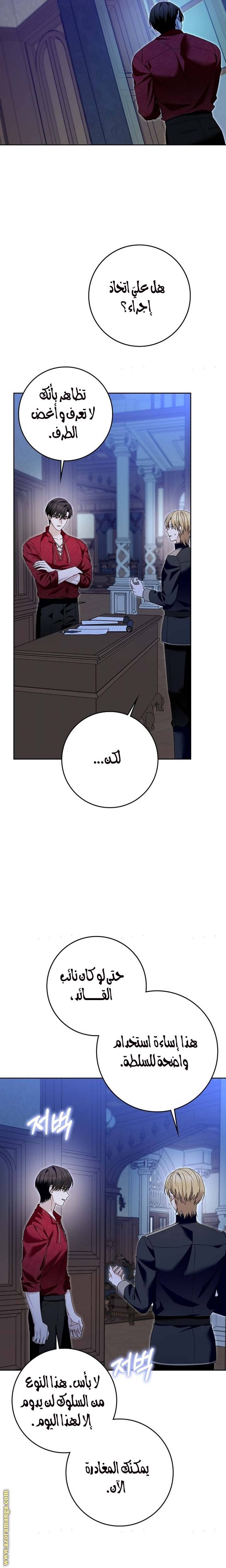 الصفحة 25