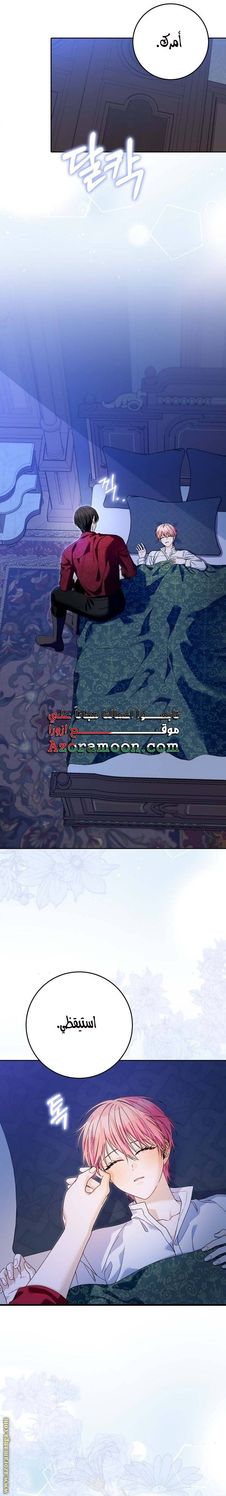 الصفحة 26