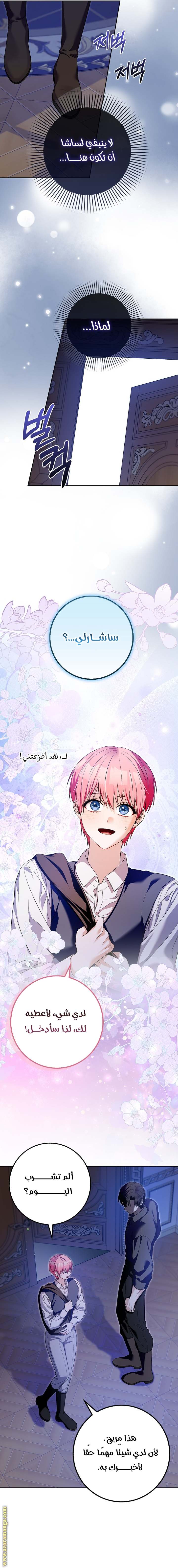 الصفحة 14