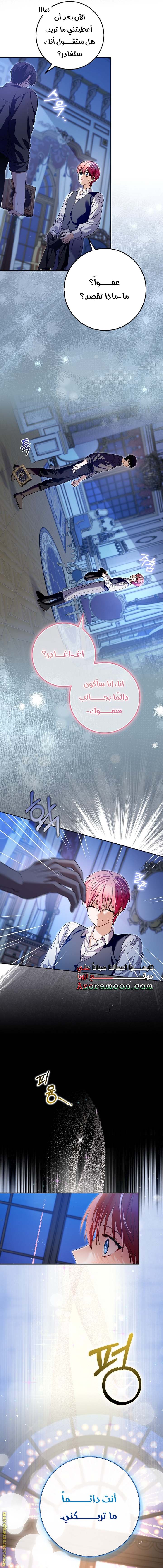 الصفحة 17