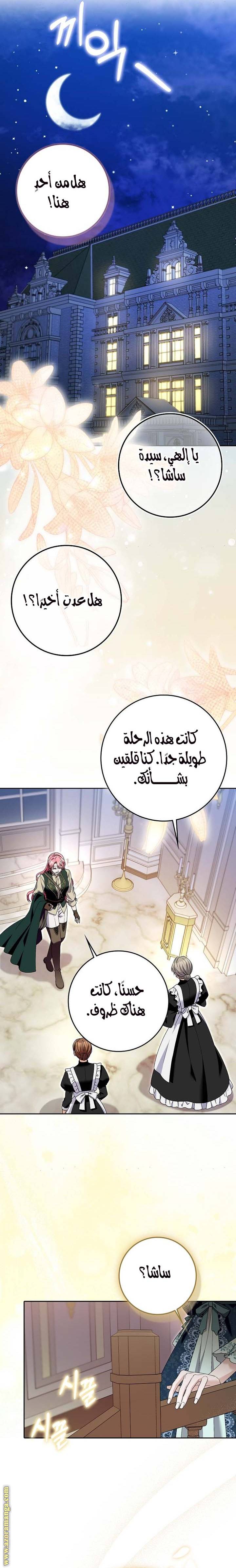 الصفحة 13