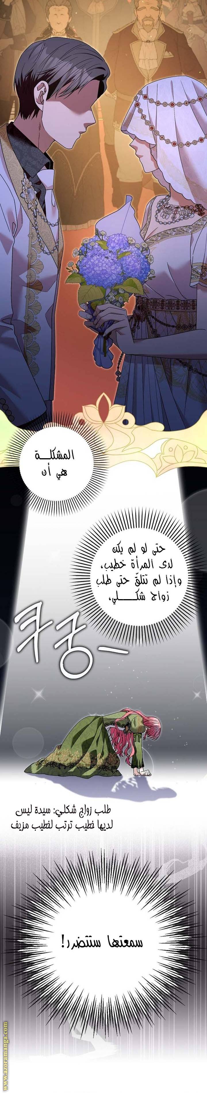 الصفحة 19