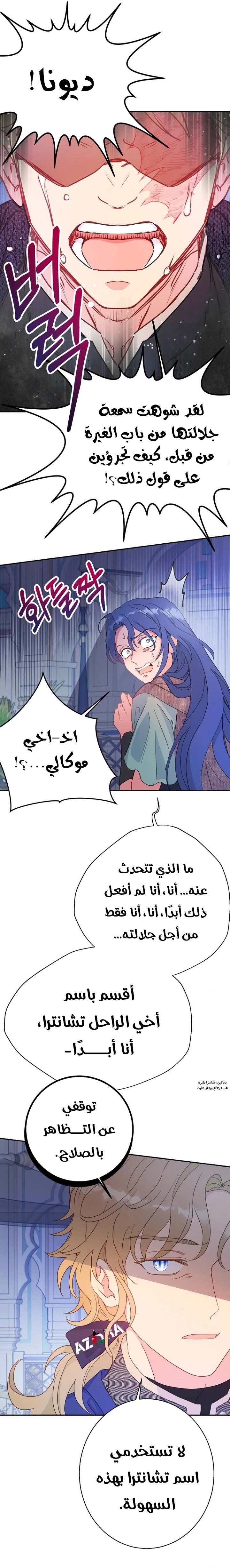 الصفحة 17