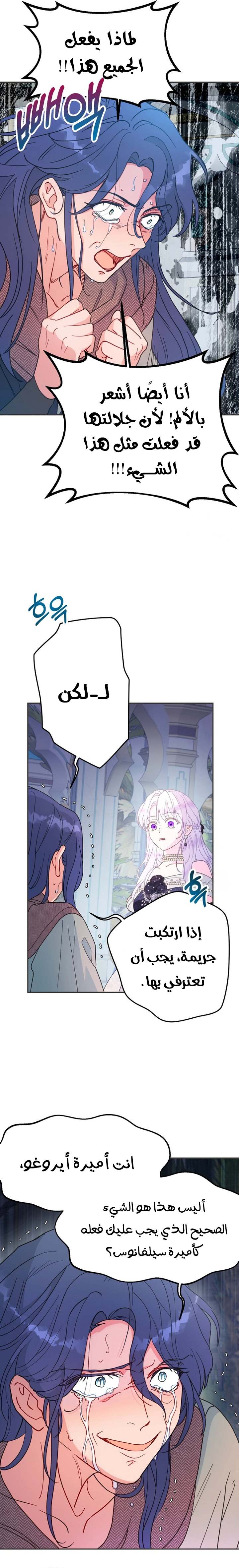 الصفحة 20