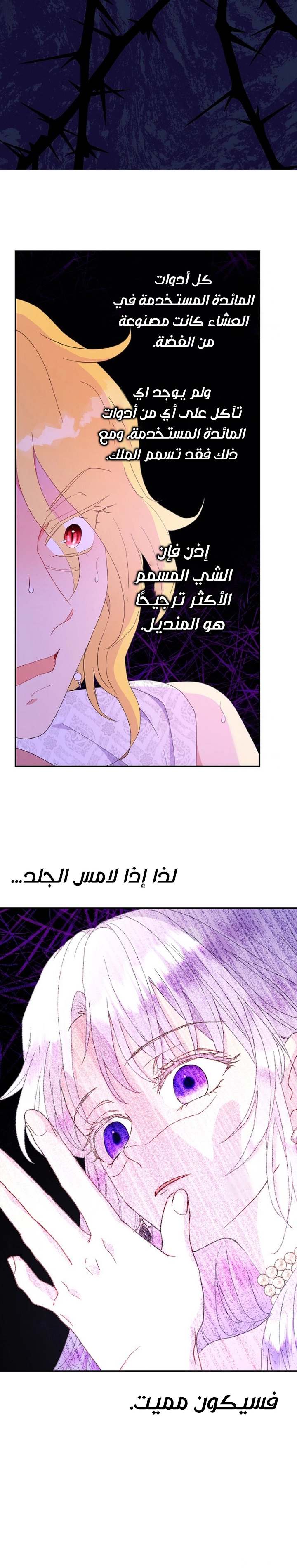 الصفحة 24