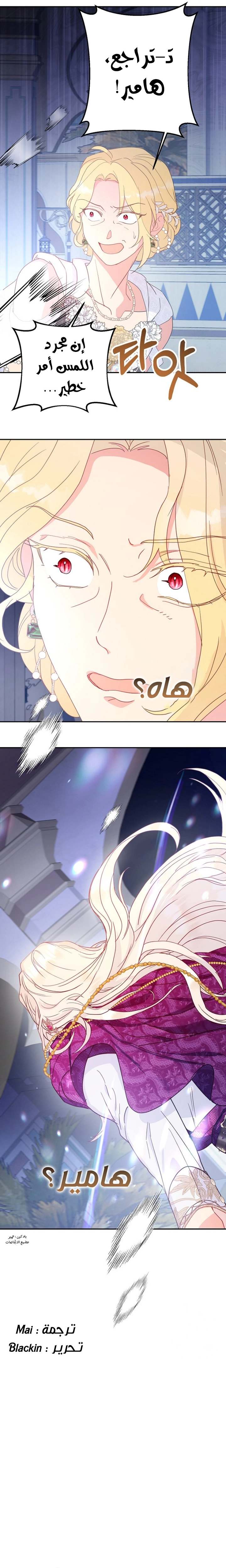 الصفحة 25