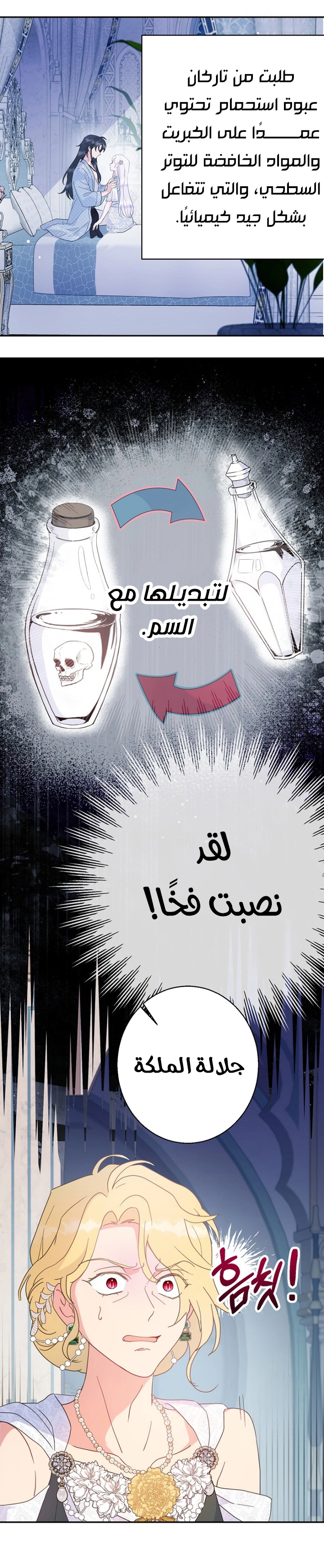 الصفحة 13