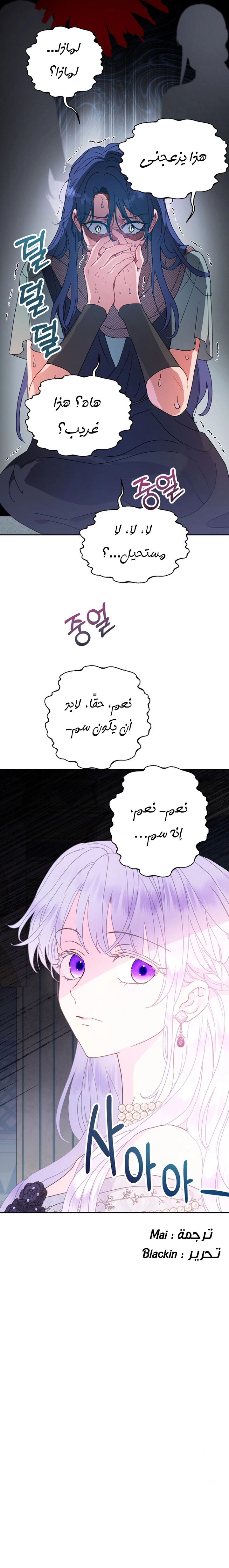 الصفحة 26