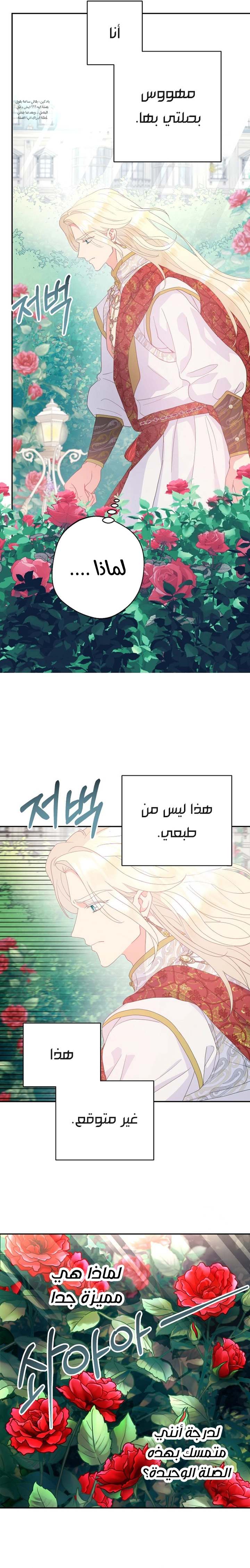 الصفحة 23