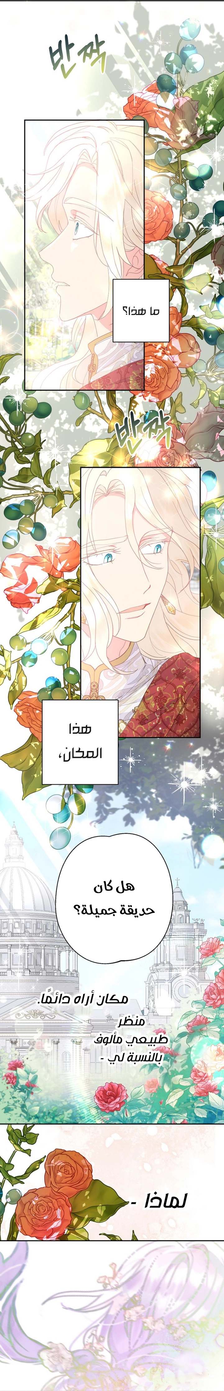 الصفحة 25