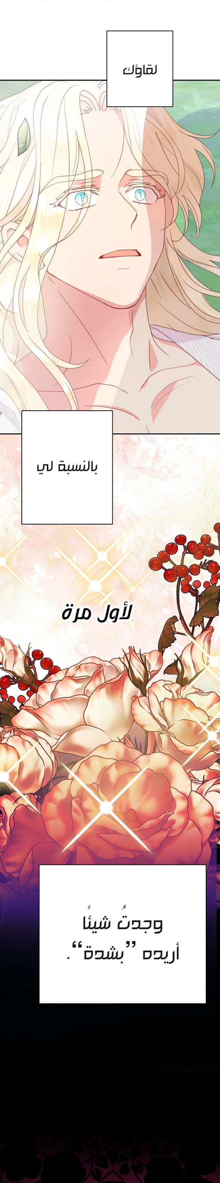 الصفحة 29