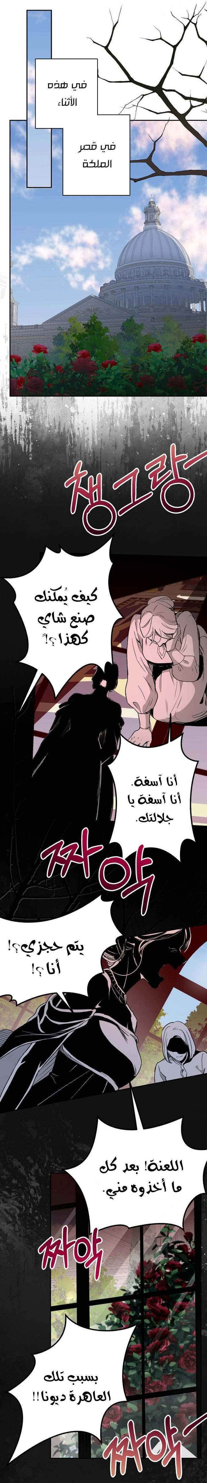الصفحة 24