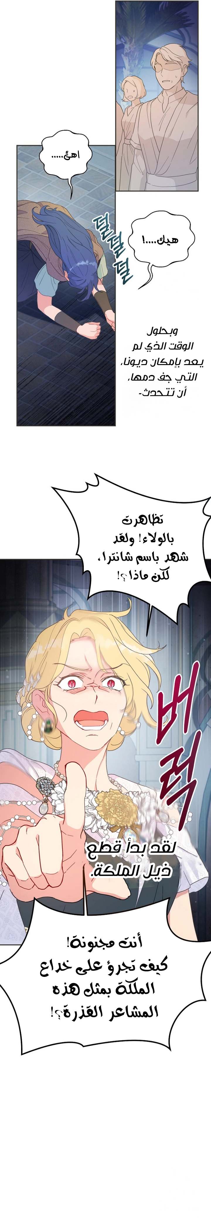 الصفحة 17