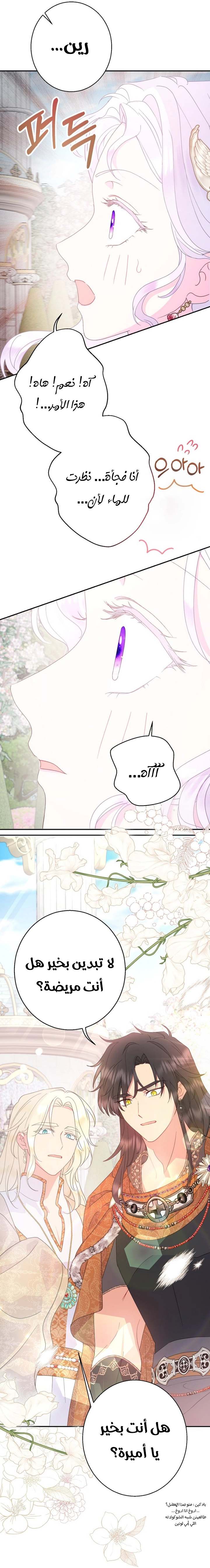 الصفحة 19
