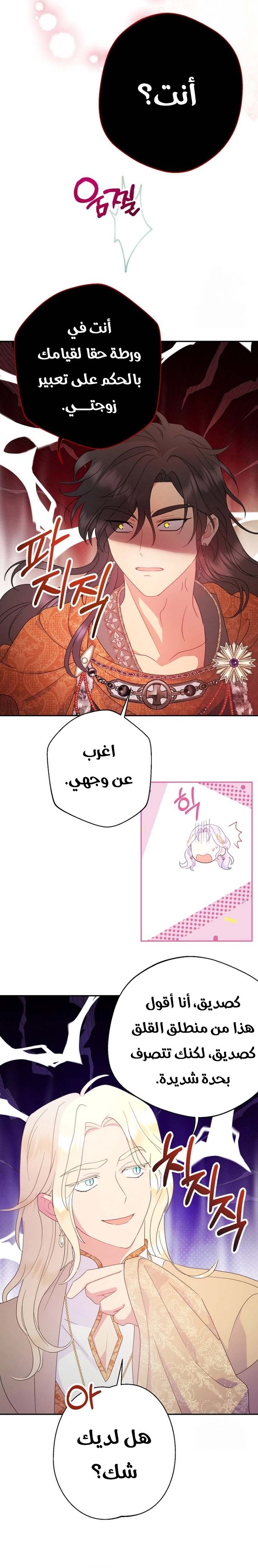 الصفحة 21
