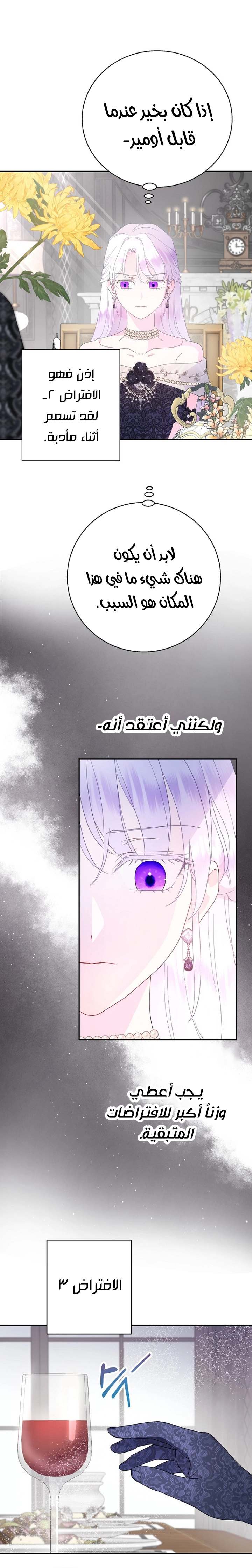 الصفحة 13