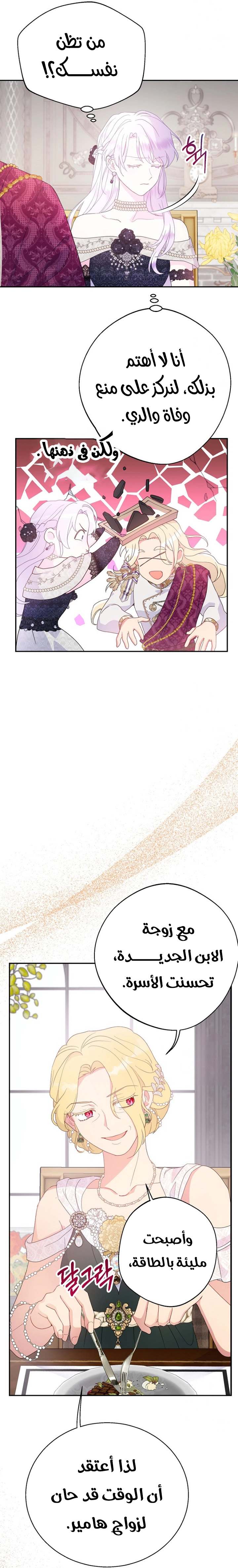 الصفحة 15