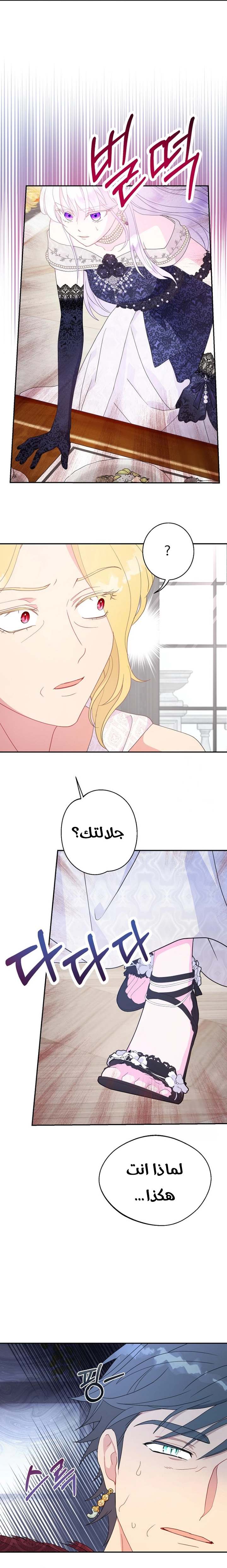 الصفحة 19