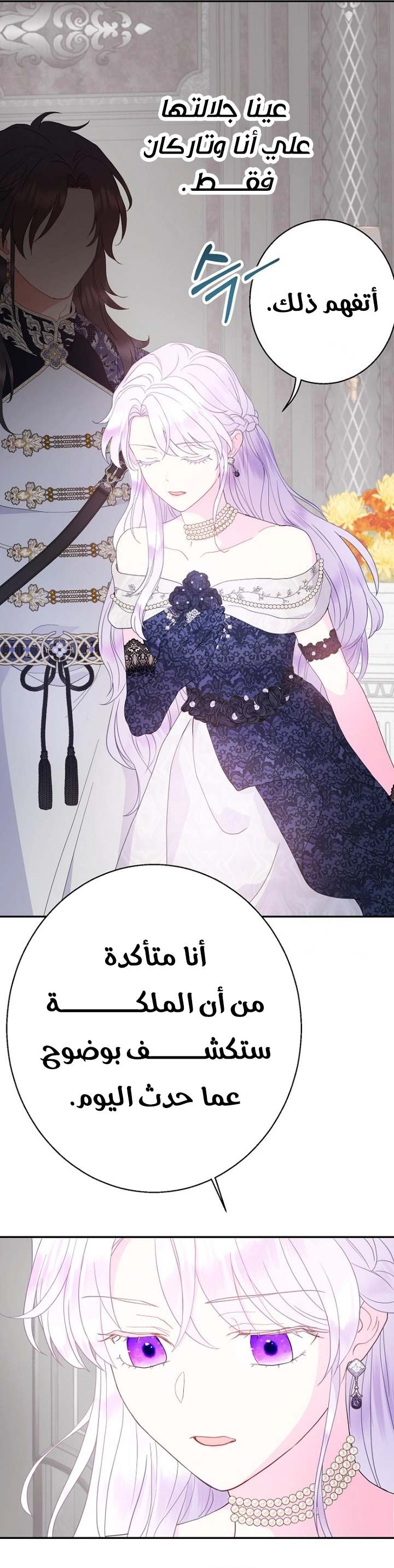 الصفحة 29