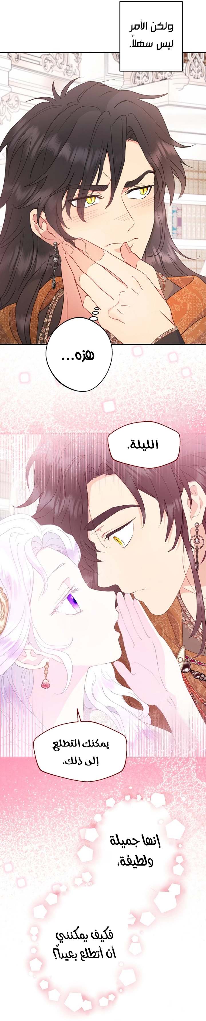 الصفحة 13