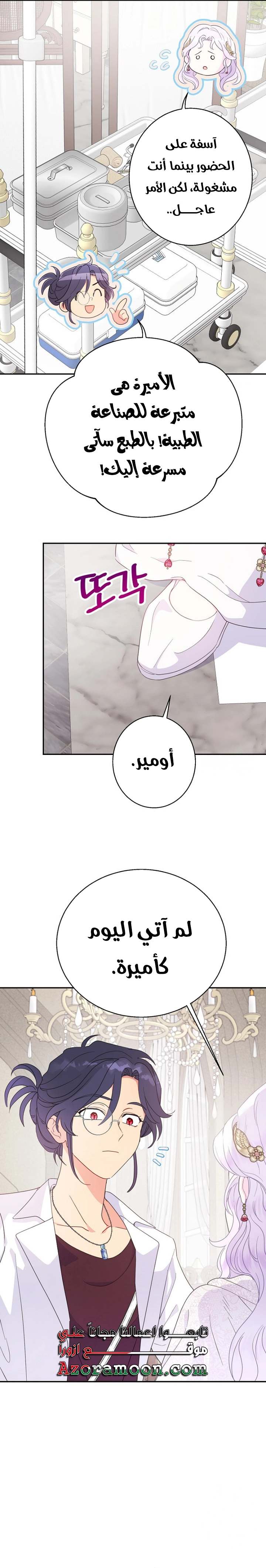 الصفحة 17