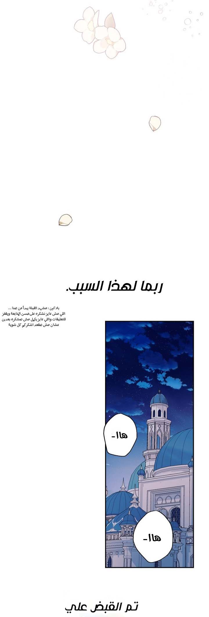 الصفحة 29