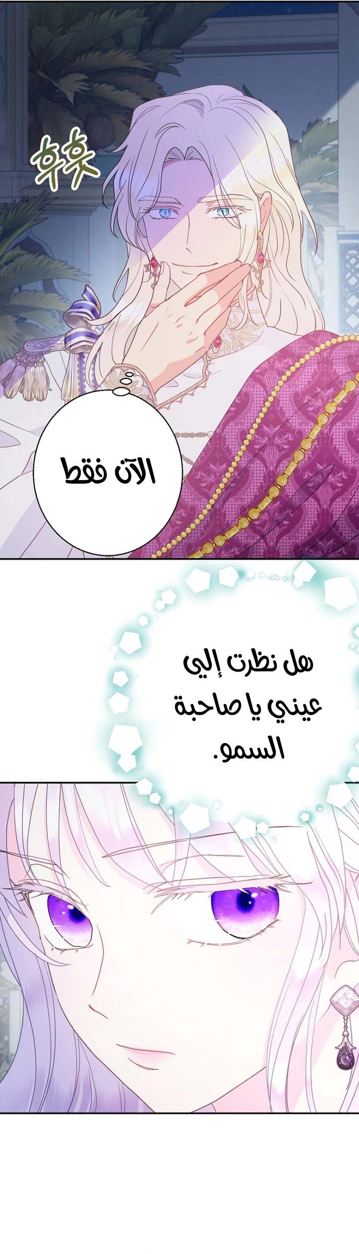 الصفحة 25