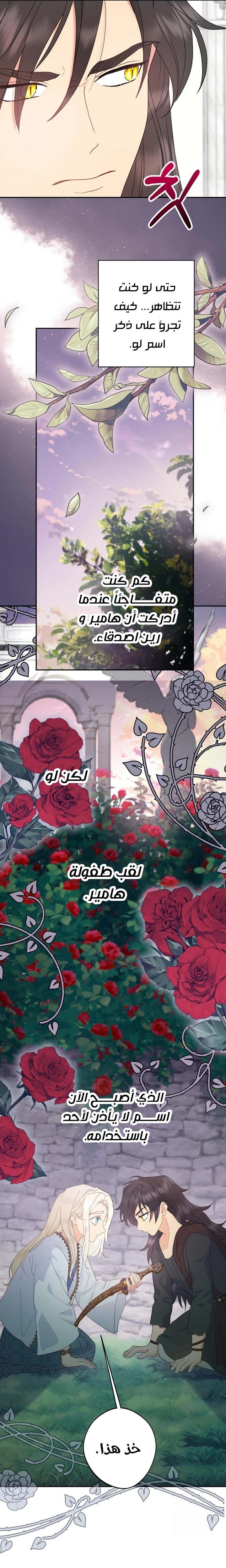 الصفحة 20