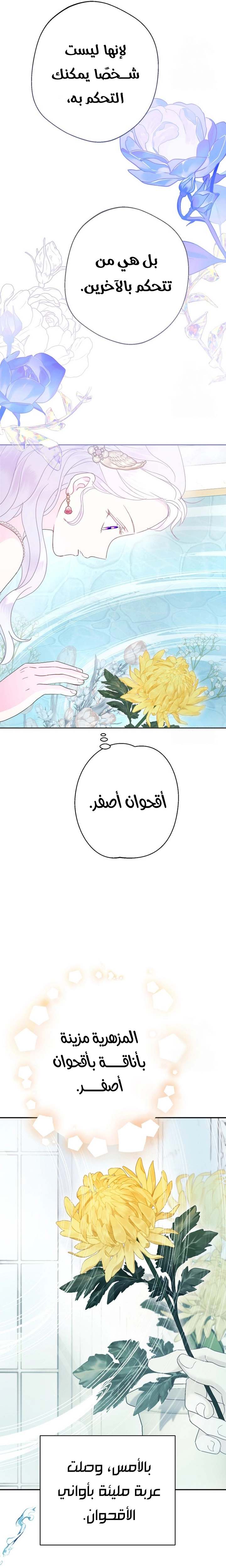 الصفحة 27