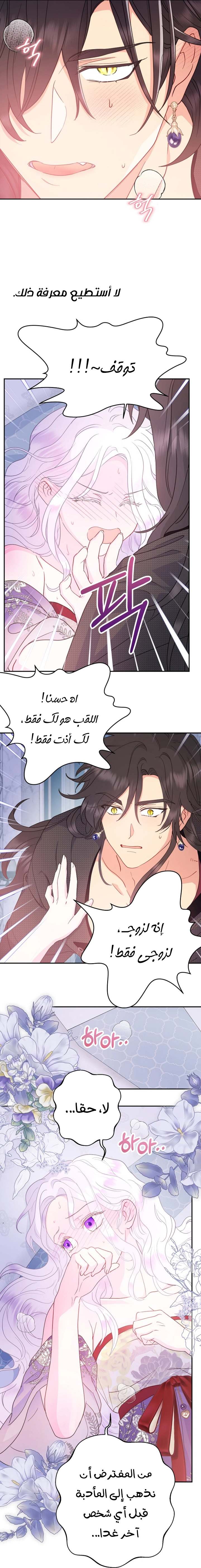 الصفحة 13