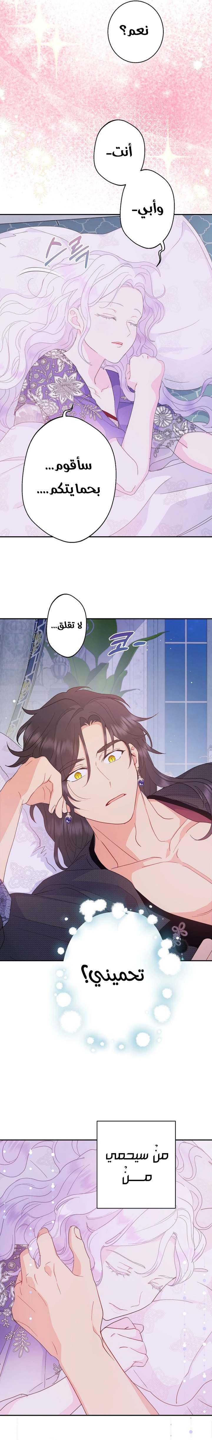 الصفحة 17