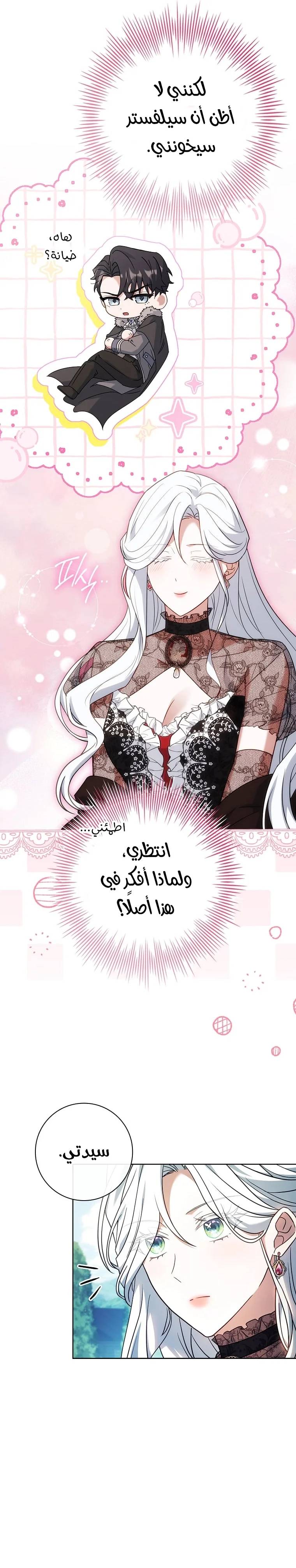 الصفحة 19