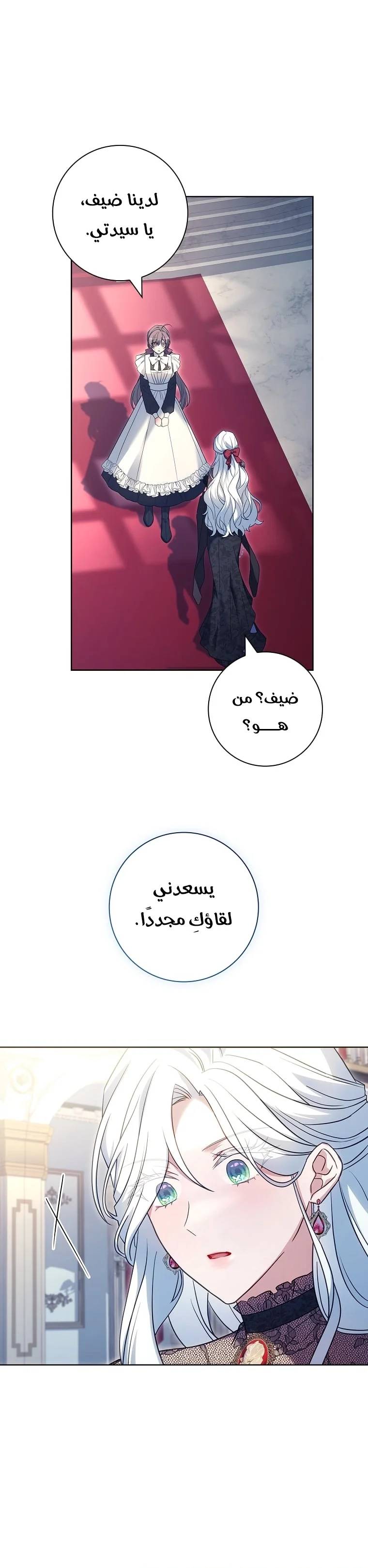 الصفحة 26