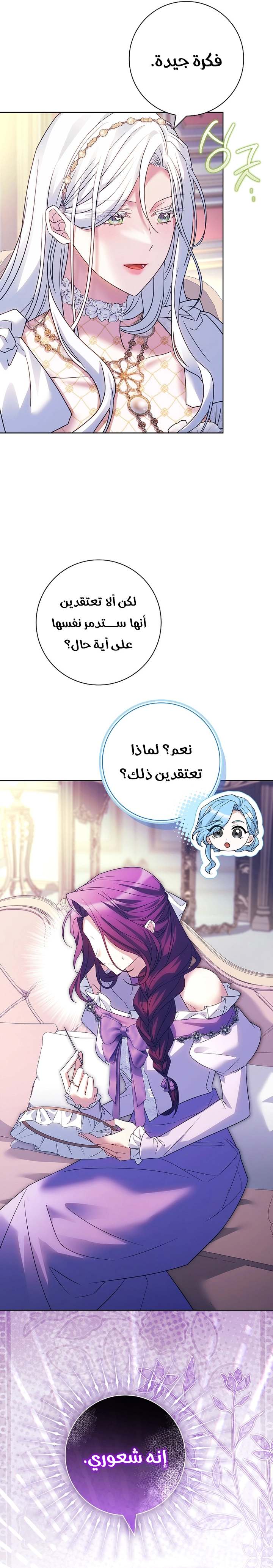 الصفحة 17