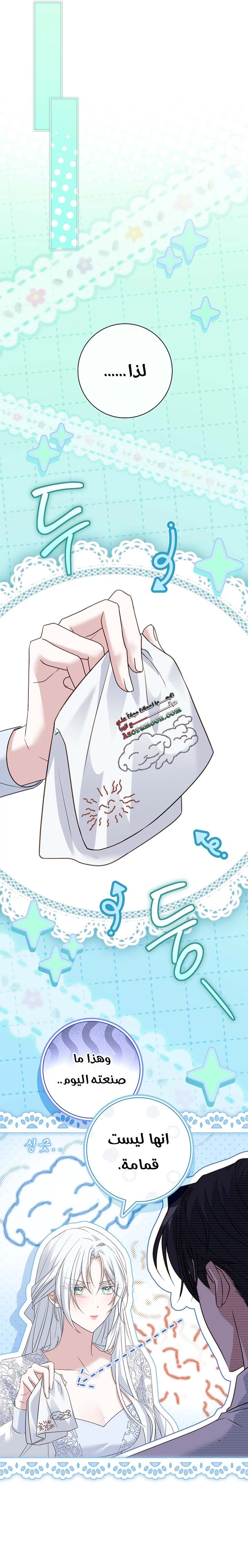 الصفحة 21