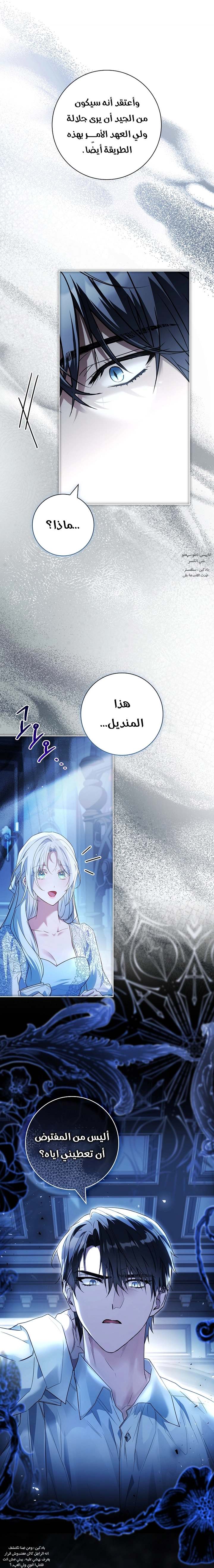 الصفحة 26