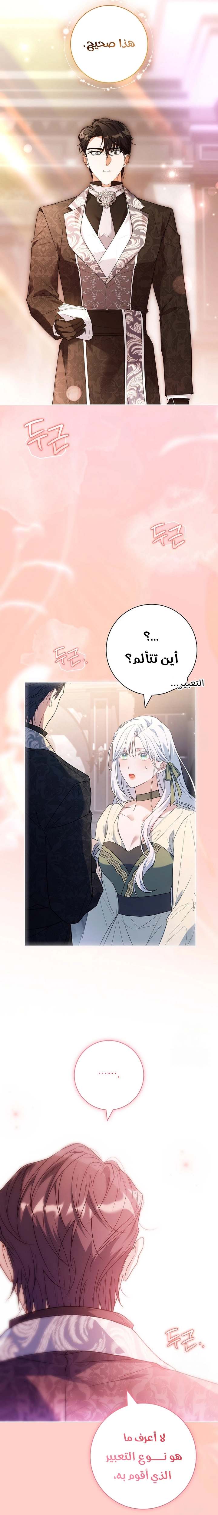 الصفحة 25