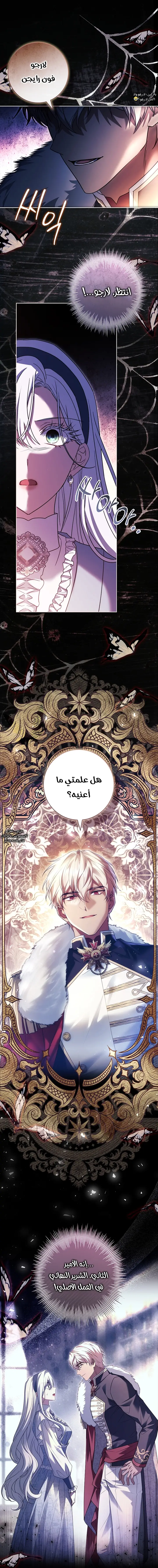 الصفحة 26