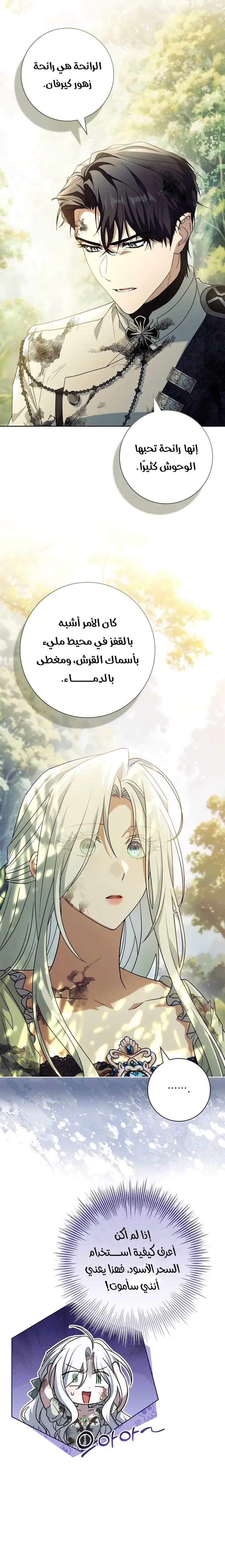 الصفحة 19